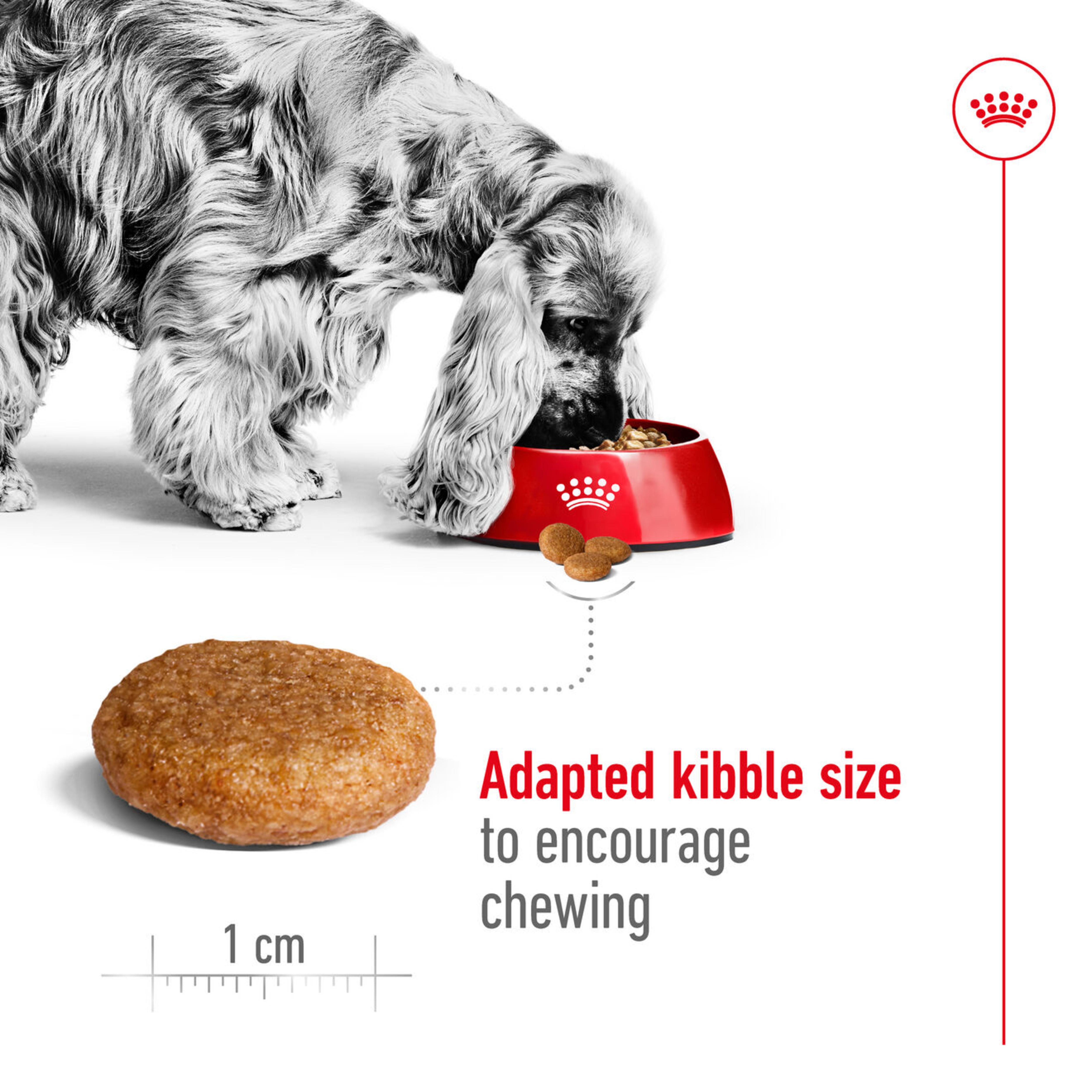 Royal Canin Medium Adult Food 15kg➠Get It Tomorrow by 7pm